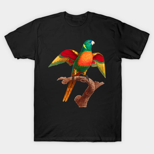 Black Panther Art - Beautiful Parrot 12 T-Shirt by The Black Panther